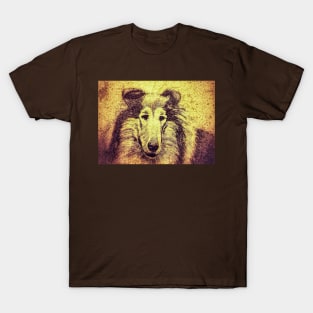 Collie study T-Shirt